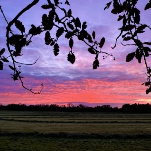 Aftenhimmel og rolige naturomgivelser ved Botilbudet Lindholm