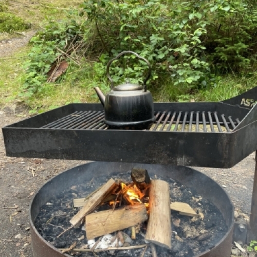 Bålsted i skovområde ved Botilbudet Lindholm