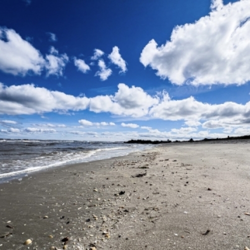 Strand og kystnatur i nærheden af Botilbudet Lindholm