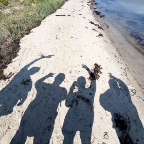 Strandtur og naturoplevelser ved Botilbudet Lindholm