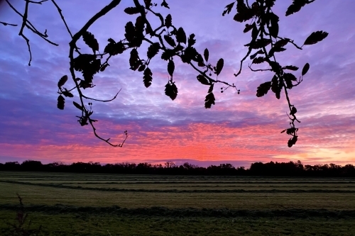 Aftenhimmel og rolige naturomgivelser ved Botilbudet Lindholm