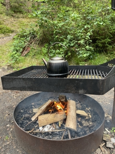 Bålsted i skovområde ved Botilbudet Lindholm