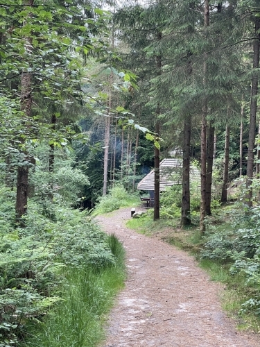Skovsti og naturområder ved Botilbudet Lindholm
